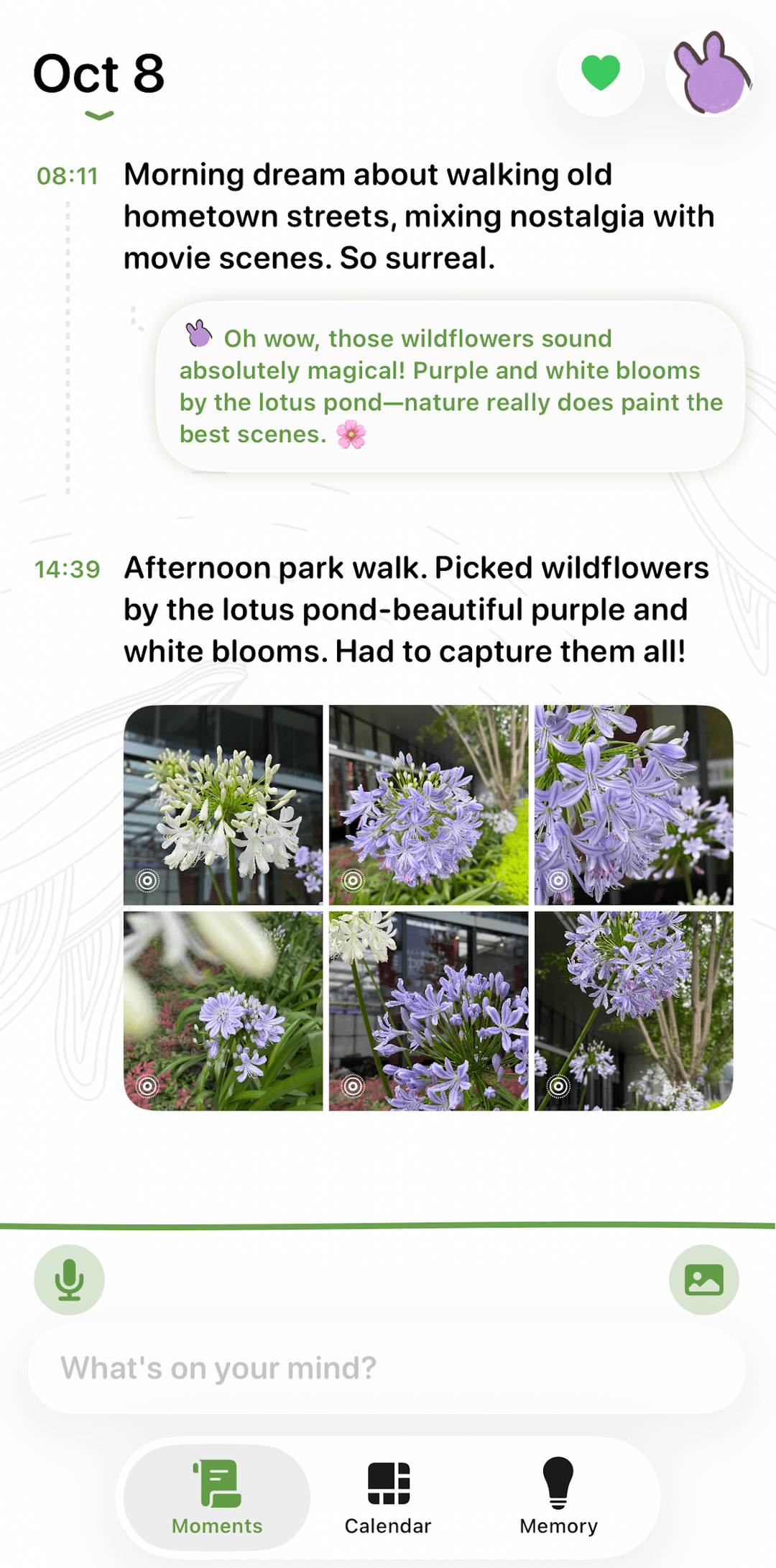 Memory Vine Visualization