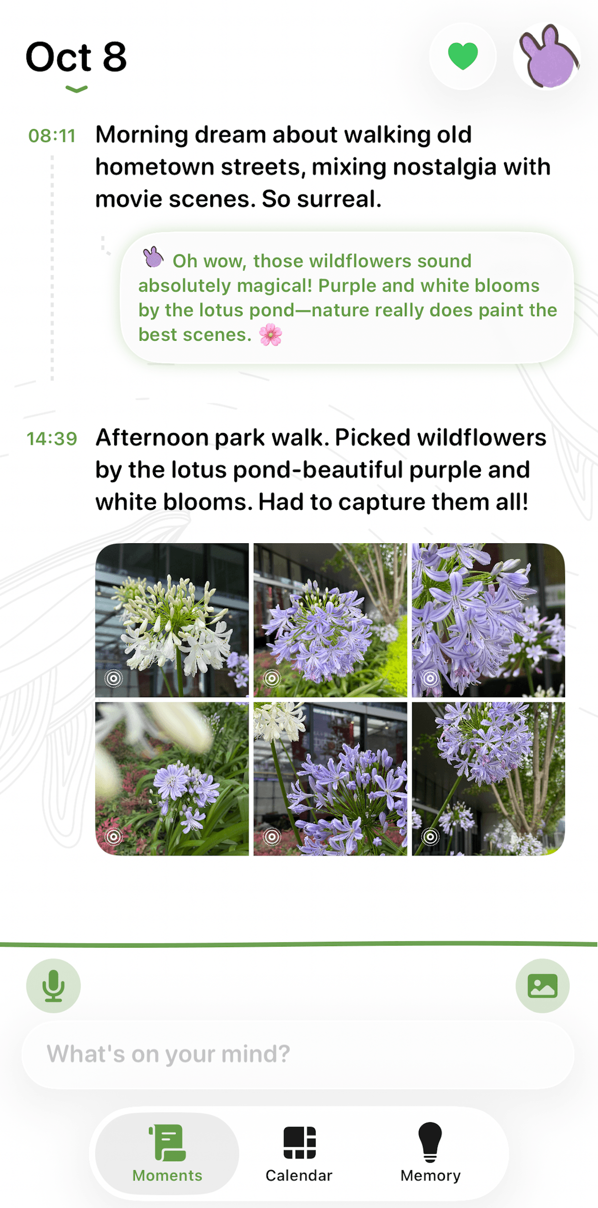 Lifelight's clean mobile-first journal interface